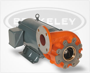 Berkeley Close-Coupled Motor Drive Series Pumps