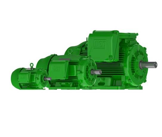 Weg  W22 Super Premium-100 HPPart #:10012EG3E444T-W22