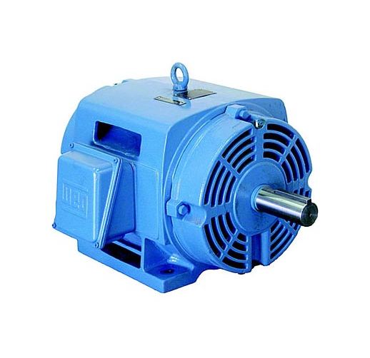 Weg  3-Phase ODP (IP21/IP23) High EfficiencyPart #:00236OP3H145T