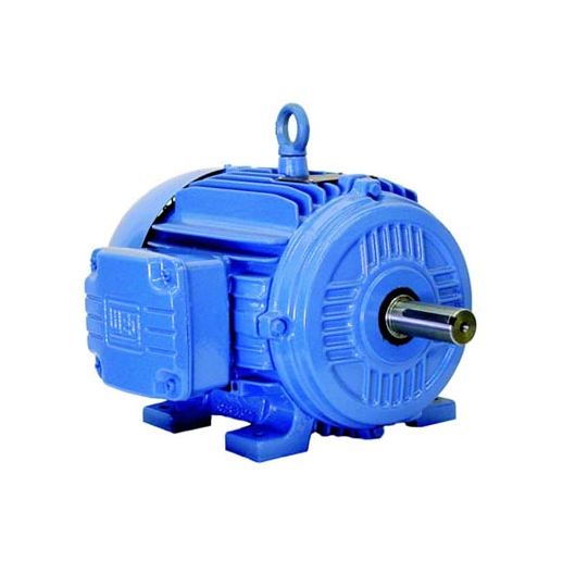 Weg  3-Phase W21 TEFC (IP55) - NEMA Premium Part #:01509ET3E286T