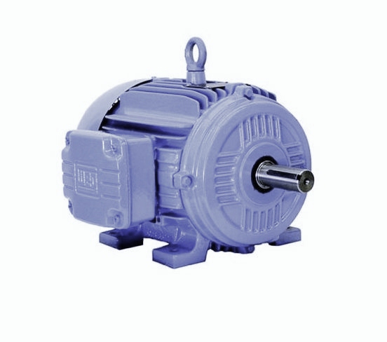 Weg  3-Phase: W21 TEFC (IP55) Severe DutyPart #:50018EP3GRB586/7