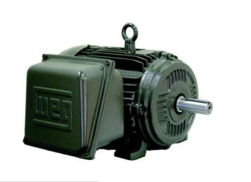 Weg  Single-Phase : W21 TEFC (IP55)Part #: 00318ES1E184T