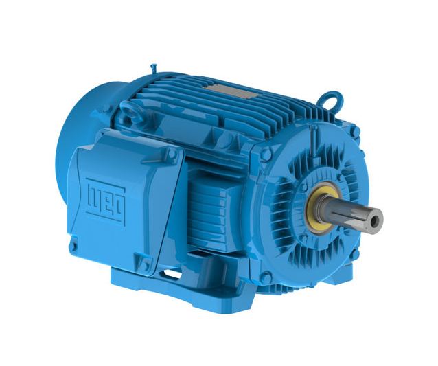 Weg  3-Phase: W22 IEEE-841 Petrochem Motor/NEMA Prem. Part #:00318ST3HIE182T-W22
